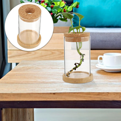 Ipetboom 2pcs Hydroponic Plant Terrarium Glass Vases with Stand, 6.5x10cm Desktop Glass Containers for Home Office Garden Decoration