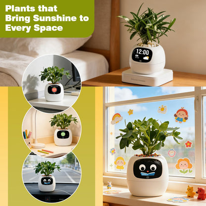 Smart Plant Pot with Visual Display – Soil Moisture, Water Level, Light & Battery Monitor, 80ml Self-Watering Reservoir, Supports 100+ Plants, Pomodoro Timer, Clock & Calendar-White