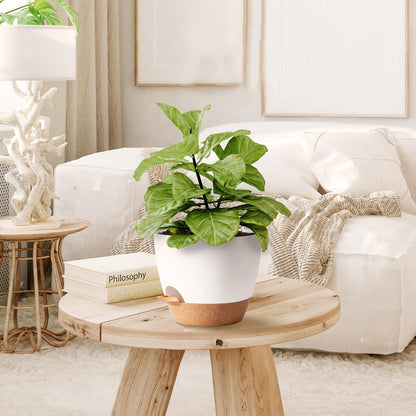 SE SUN-E Indoor Plant Pots for Lazy People, 5Pack White Plastic Self Watering Planter Pots for Houseplants,Succulent, African Violets,Snake Plants, Flowers and Cactus(7/6.5/6/5.5/5 Inch)