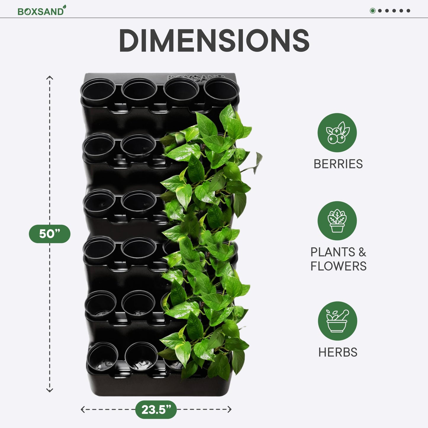 BOXSAND-24 Vertical Wall Planter (24"x50", Black with Round Pots) – Living Wall for 24 Plants, Indoor/Outdoor Vertical Garden System, Easy 4-Screw Install