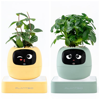 2nd Generation Ivy Smart Planter Pot for Home Plants AI Robor Flower Pot Pet Toy for Children and Family
