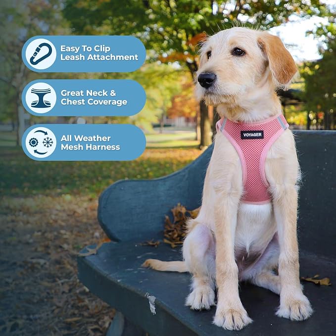 Best Pet Supplies Voyager Step-in Air All Weather Mesh Harness and Reflective Dog 5ft Leash Combo with Neoprene Handle, for Small, Medium and Large Breed Puppies - Pink, XX-Small