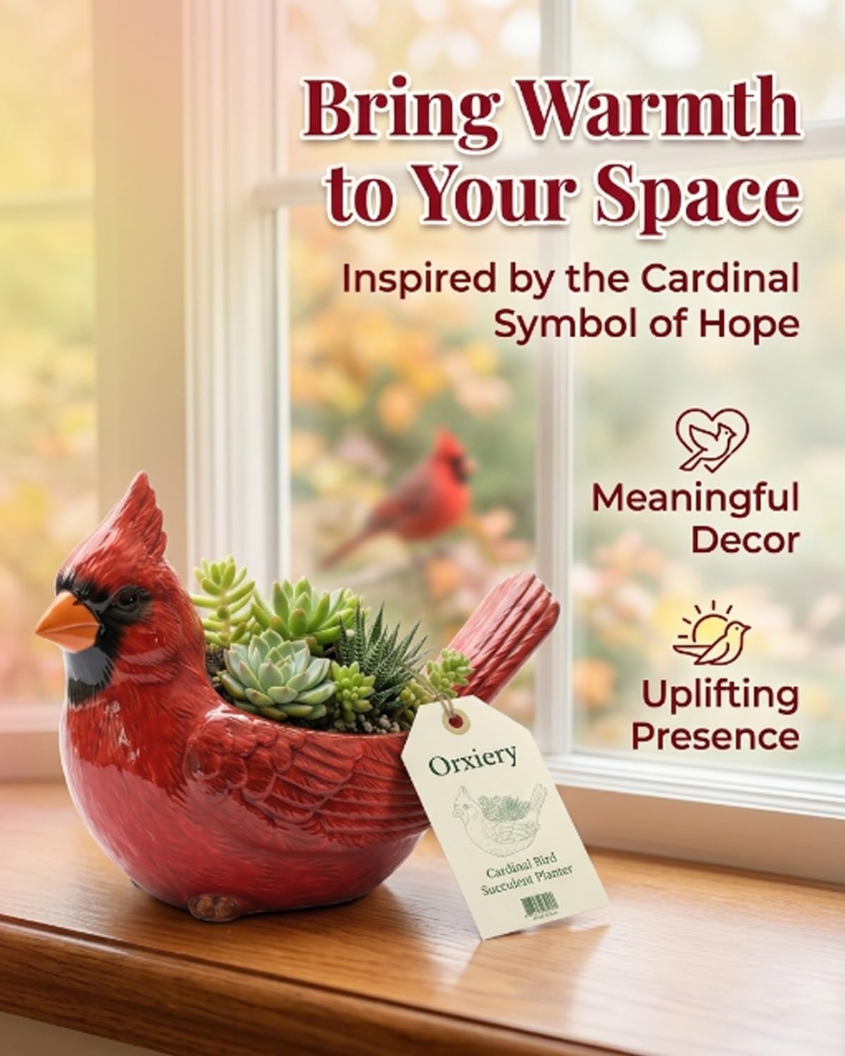 Orxiery Cardinal Bird Succulent Planter, Red Resin Decorative Flower Pot for Indoor Plants, Small Bird Planter for Desk Windowsill Garden Decor, Unique Gift(Hummingbird)