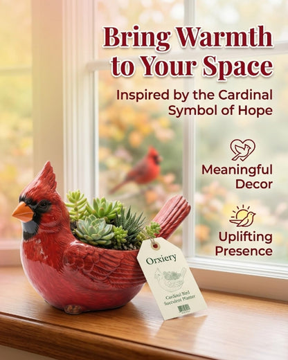 Orxiery Cardinal Bird Succulent Planter, Red Resin Decorative Flower Pot for Indoor Plants, Small Bird Planter for Desk Windowsill Garden Decor, Unique Gift(Hummingbird)