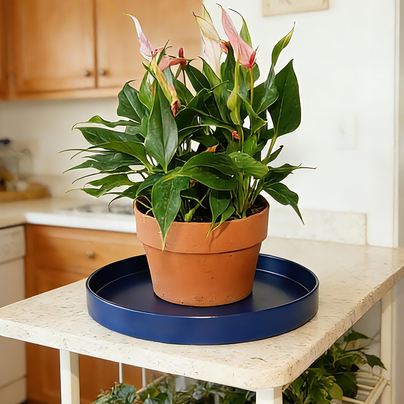 Afrine 1 Pack 12 inch Plant Saucer Drip Tray, Heavy Sturdy Plastic Planter Flower Pot Drainage Tray Plate Saucers for Indoor Outdoor Garden, Plant Water Drip Trays for pots Base (12", Blue)