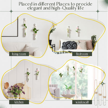 Baderke 9 Pack Clear Window Propagation Stations Plastic Window Planter with Suction Cups & Traceless Nails, Propagated Plant Holders with Bottle Brush, Hanging Vases Terrarium Gift (5.5''& 5"& 3.7'')