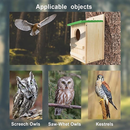 Screech Owl House, Owl Bird Box Large Handmade Wooden Circular Opening Screech Box for Outside with Mounting Screws and A Bag of Wood Shavings, Easy Assembly Required (Green, 9" x 14.5")