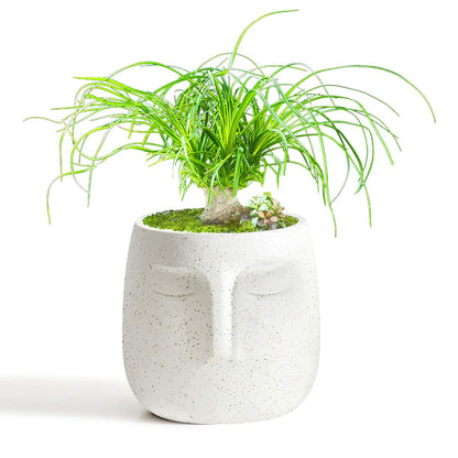 GeLive Head Plant Pot Succulent Planter with Drainage Hole Modern Statue Flower Pot Face Plant Vase Windowsill Box Art Home Decoration Indoor Outdoor (White)