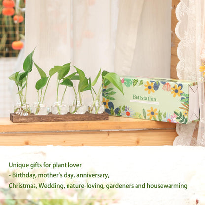 Bettstation Plant Propagation Station, Plants Terrarium with Wooden Stand 5 Bulb Houseplants Glass Vase for Hydroponic Plants Gift for Plant Lovers Home Office Decor
