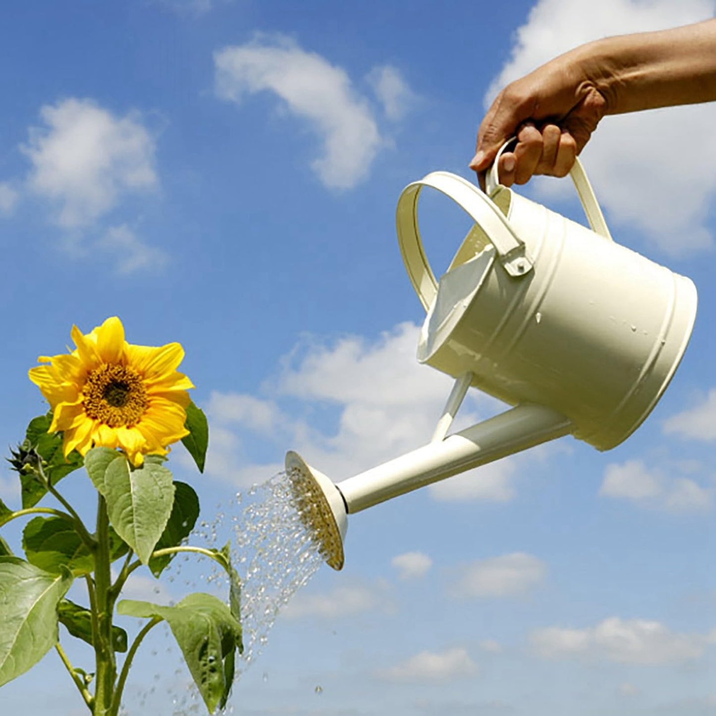 Galvanized Watering Can 1L,Tinplate Watering Kettle with Removable Spout,Garden Decorations,Gardening Tools for Outdoor Indoor Plants Lawn Garden (White)