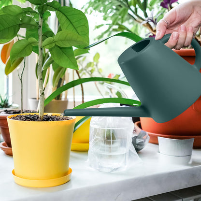 TEIUKAX Indoor and Outdoor Watering Can - Long Spout -1/2 Gallon (64oz) - Blackish Green