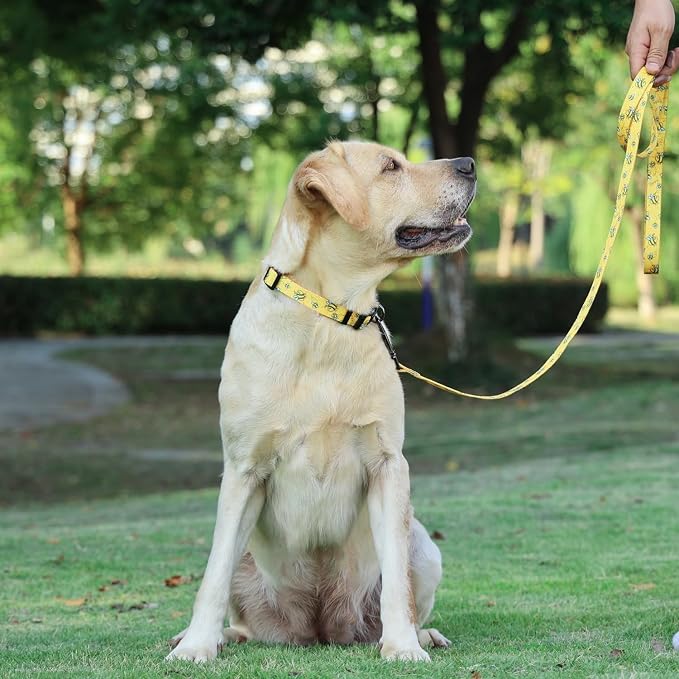Dog Collar Leash Set, Busy Bee Pattern, 5ft Matching Leash, Polyester Material, 4 for Small Medium Large Dogs.(L, Bee)