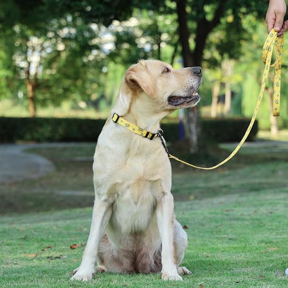 Dog Collar Leash Set, Busy Bee Pattern, 5ft Matching Leash, Polyester Material, 4 for Small Medium Large Dogs.(M, Bee)