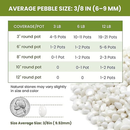 3/8 Inch Polished Decorative Pebbles, River Rocks for Indoor Plants, Succulents, Planters, Vases, Fish Tank, Aquarium Gravel & Landscaping, Snow White, 12LB