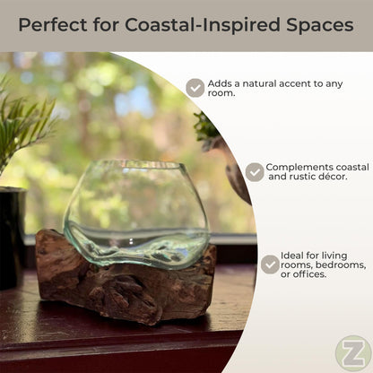 Zeckos Planter Terrarium with Molten Glass Bowl on Driftwood Base, Coastal Wood and Glass Tabletop Planter, 7.5 X 7 X 6 Inch Freestanding Indoor Accent for Succulents or Air Plants