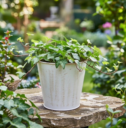 Hosley Set of 2 White Bucket/Pots with PVC Liner, 6.5" Dia x 6" H Ideal Gift for Floral Arrangements Wedding Home Office Party DIY Indoor Outdoor Garden Patio