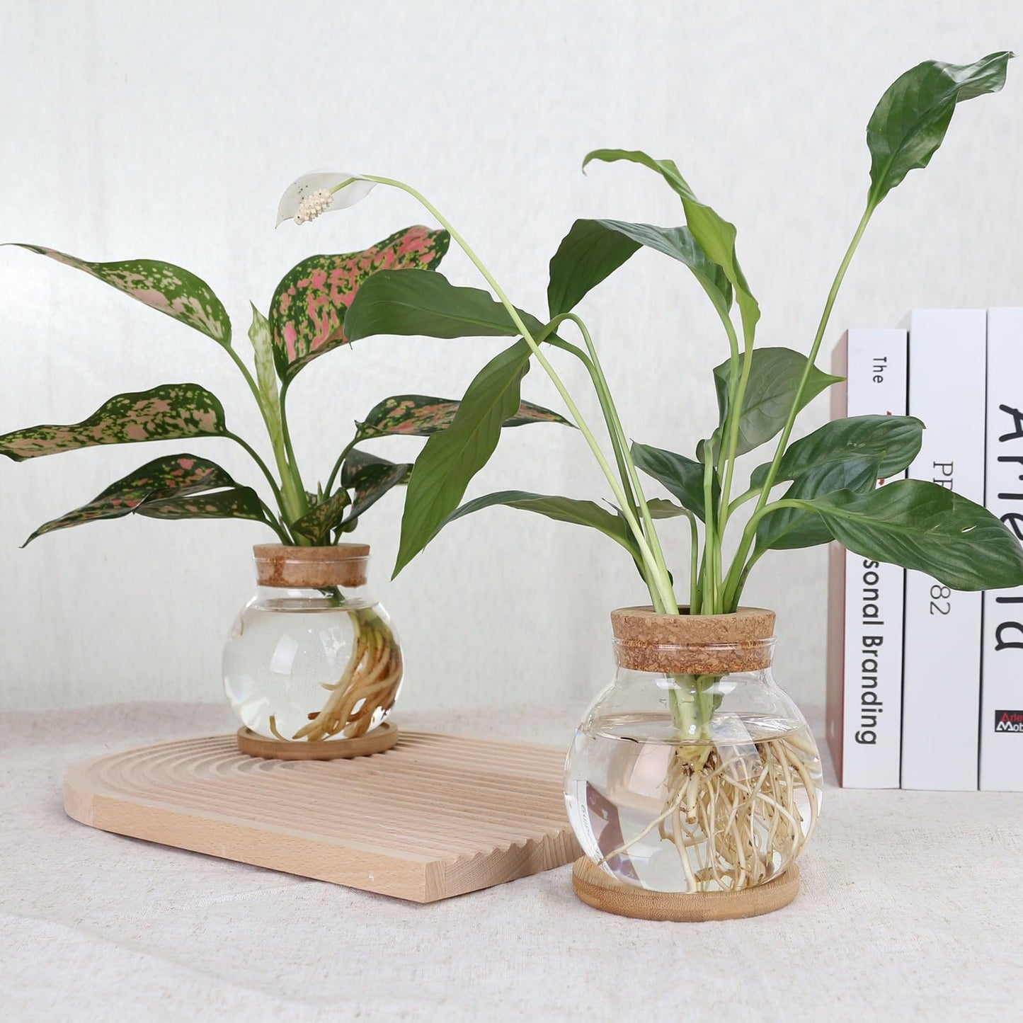 CHPINDAM Plant Propagation Station,Hydroponic Glass Container Vase Jars, with Wooden Saucer for Desks, Houses, Garden Decorations, Home Kitchen Decorations and Gifts for Plant Lovers (9)