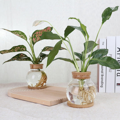 CHPINDAM Plant Propagation Station,Hydroponic Glass Container Vase Jars, with Wooden Saucer for Desks, Houses, Garden Decorations, Home Kitchen Decorations and Gifts for Plant Lovers (9)