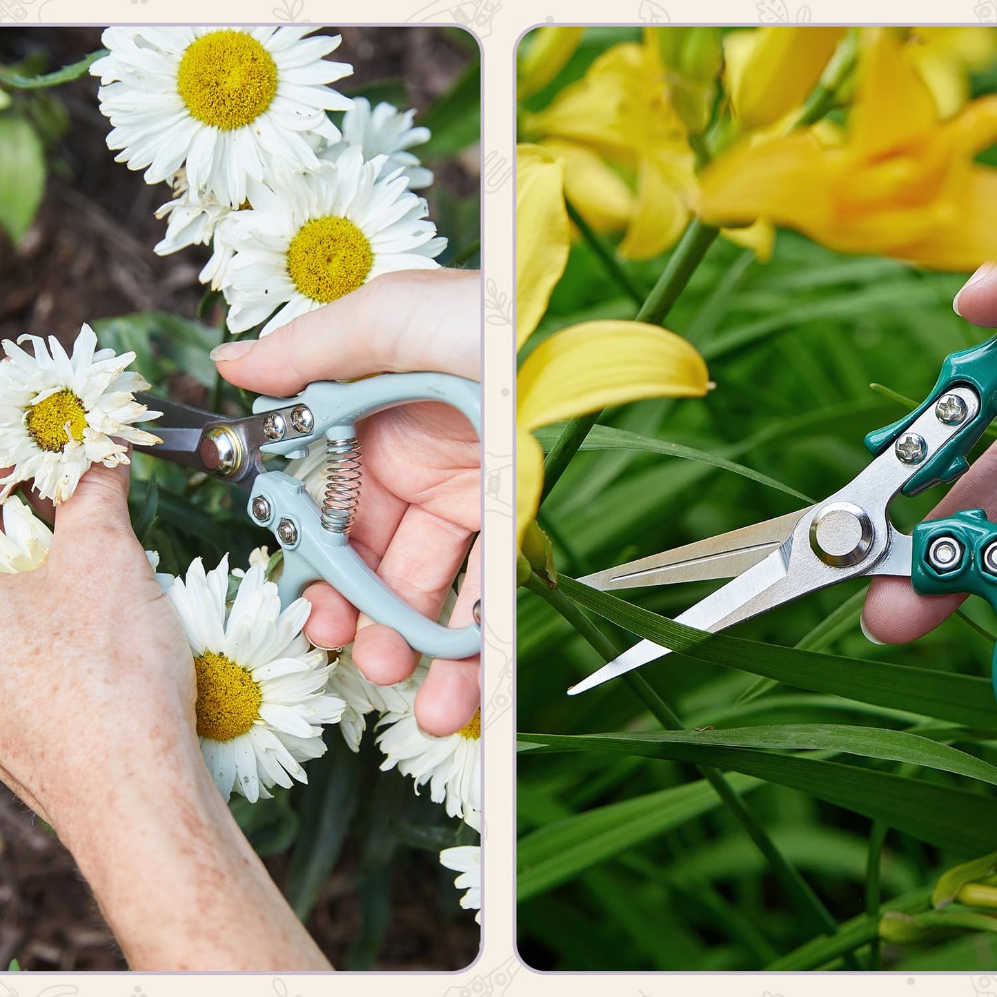 Modern Sprout Pruning Shears - Herb Snipping Scissors- Lightweight Gardening Tools W/Easy Lock - Flower Cutter Garden Shears - Carbon Steel Blade + Reusable Holster (Lavender, 1-Pack)