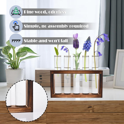 Tigvio Desktop Glass Plant Propagation Station with 5 Test Tubes in Wooden Stand - Hydroponic Plants Cutting Office Home Decoration and Garden Decor Terrarium (5 Tubes)