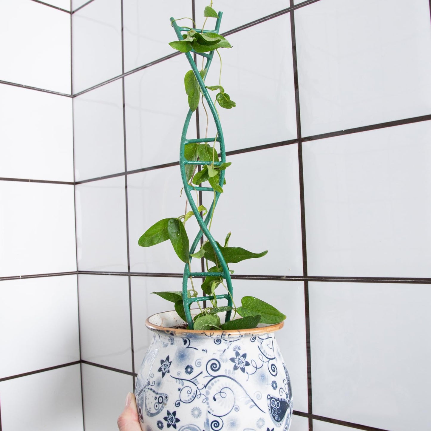 GOOOXIM Indoor Plant Trellis - DNA Spiral Design Metal Trellis for Potted Plants, Stylish Climbing Support for Small Houseplants, Durable & Easy to Install Garden Upgrade for Vining Plants