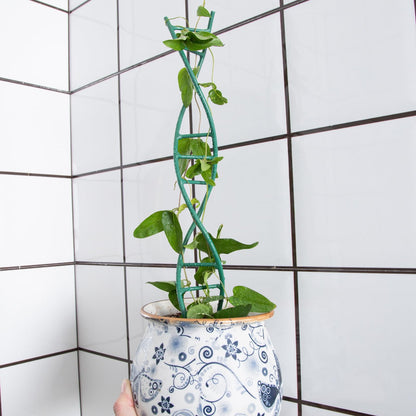 GOOOXIM Indoor Plant Trellis - DNA Spiral Design Metal Trellis for Potted Plants, Stylish Climbing Support for Small Houseplants, Durable & Easy to Install Garden Upgrade for Vining Plants