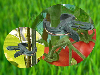 Plant Clips Green Gentle Gardening Plant & Flower Lever Loop Gripper Clips, Tool for Supporting or Straightening Plant Stems, Stalks, and Vines, Garden Clips, by RamPro (80 pc)