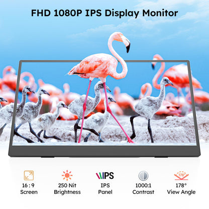Dopesplay Portable Monitor, 15.6" FHD 1080P IPS Travel Monitor for Laptop, Foldable Magnetic Stand & Carry Case Included, USB-C Screen Extender for Laptop Mac PC Phone Xbox PS4/5 Switch