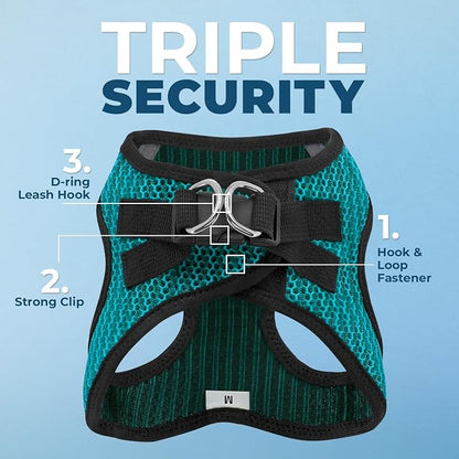 Best Pet Supplies Voyager Step-in Air All Weather Mesh Harness and Reflective Dog 5ft Leash Combo with Neoprene Handle, for Small, Medium and Large Breed Puppies - Set (Turquoise 2-Tone), Large