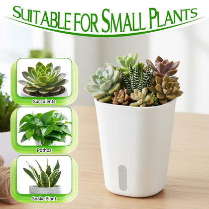 AOZUO 10 Sets 4" Self Watering Pots for Indoor Plants, Plastic Self Watering Planter Pots with Visual Water Level Clear Inner Cup and Multiple Vents for House Plants, Flowers, African Violets