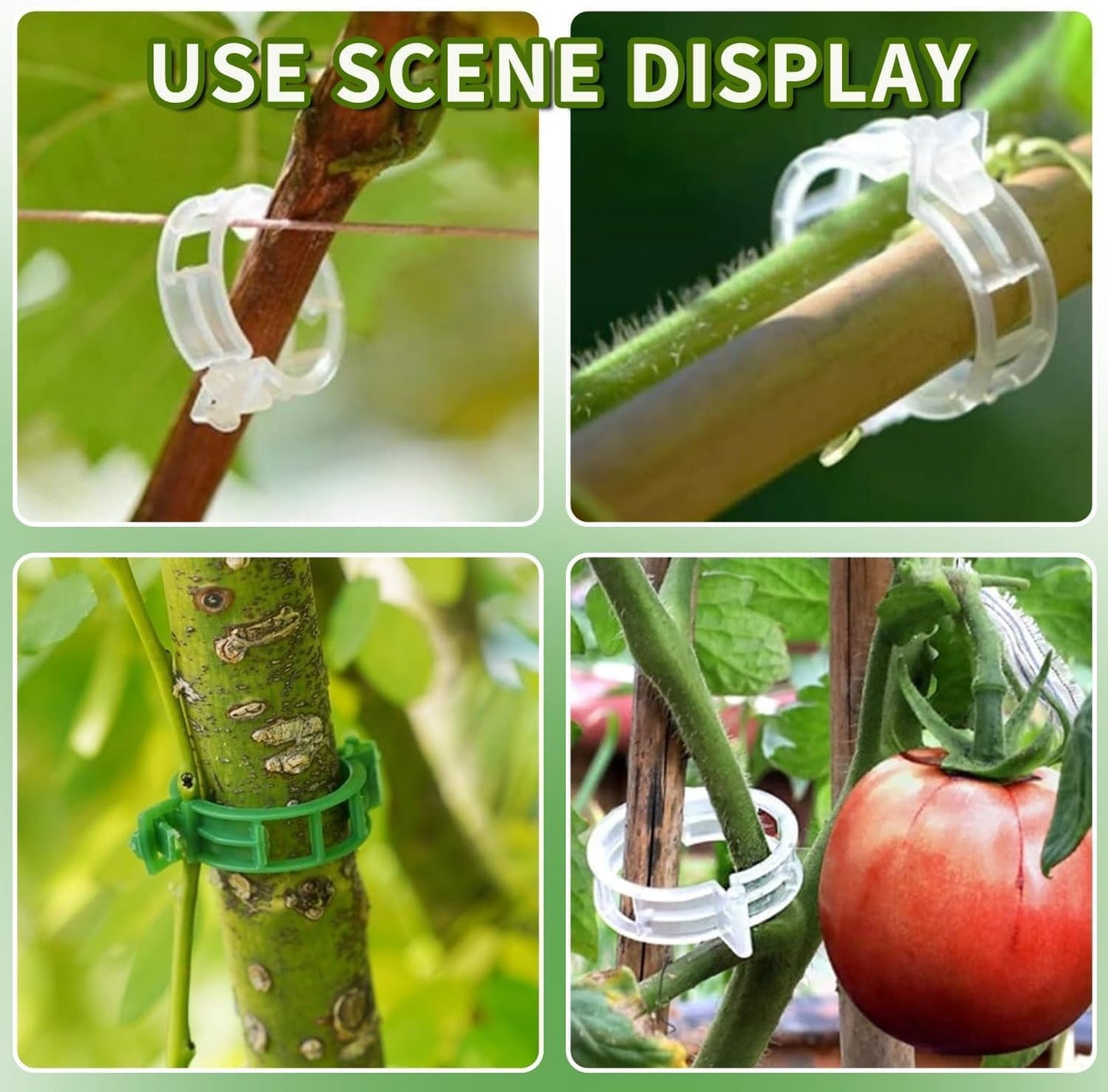 Lyngvio 100Pcs Secured Plastic Plant Clip, 2026 Upgrade Plant Support Clips Reusable Garden Clips, Garden Clips for Climbing Plants Tomato Grape Vine Vegetables Plant Fixing Clips (50, Green)