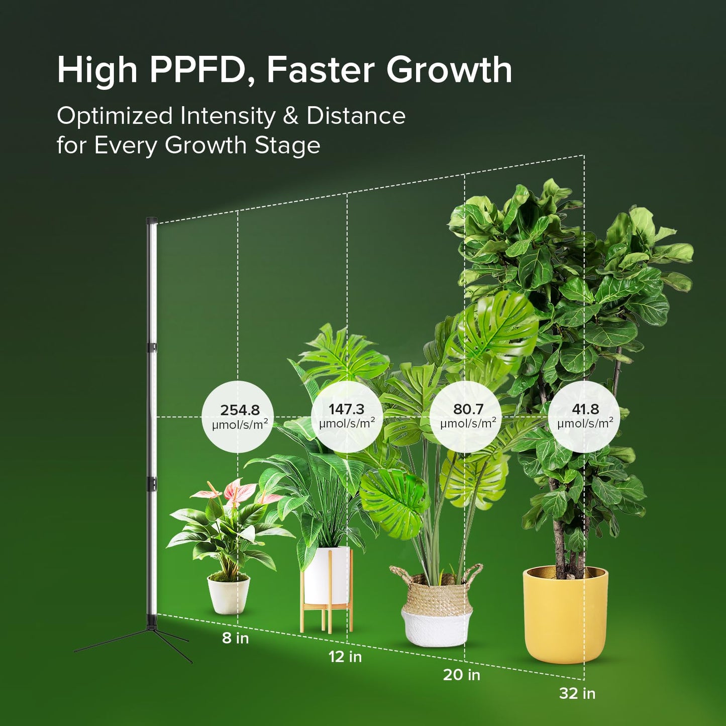 SGLEDS 55W Standing Plant Grow Light for Indoor Plants, Full Spectrum Grow Lights with Dimmer & Timer, Plant Lights for Large Houseplants, Indoor Garden Rack, Balcony & Greenhouse