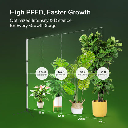SGLEDS 55W Standing Plant Grow Light for Indoor Plants, Full Spectrum Grow Lights with Dimmer & Timer, Plant Lights for Large Houseplants, Indoor Garden Rack, Balcony & Greenhouse