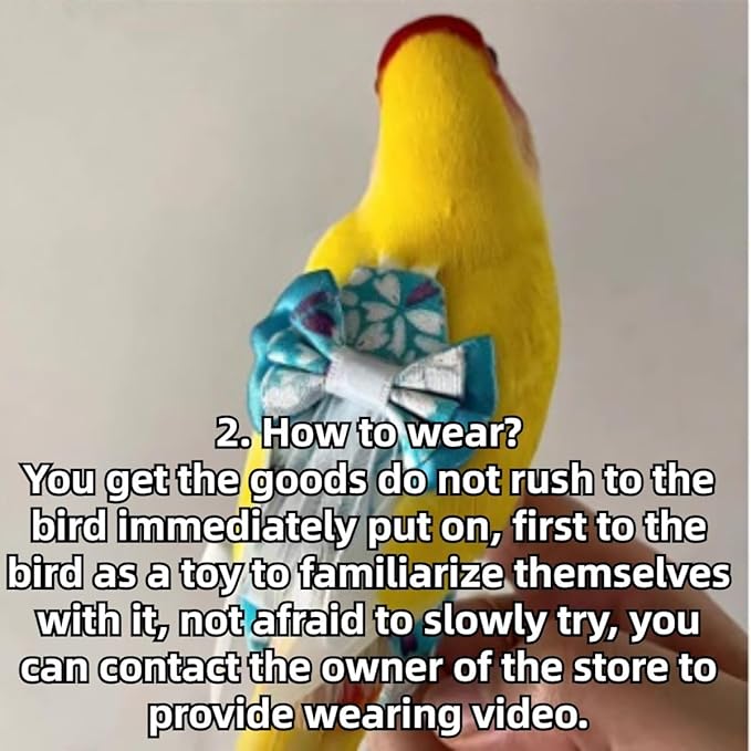 Bird Diaper Cockatiel Clothes Flight Suite, Reusable Parrot Nappy with Waterproof Inner Layer, Cute Pigeon Pants Urine Wet Suit Costume for Conure Macaw (Blue C,L)