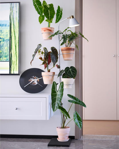 Adjustable Plant Shelf for Plant Stands - 5 Pack Flower Stand for Lamp Post, Plant Stands, Balcony Rail, Metal Plant Stand Indoor Outdoor Fits Poles Under 2cm in Diameter (Plant Holder 9/11/12cm)