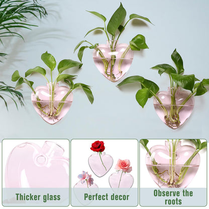 CYZglass Wall Hanging Planter Propagation Station for Indoor Plants Glass Vase Air Plant Holder Gift for Women Girlfriend Plant Lover