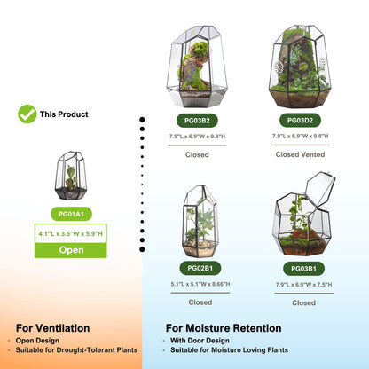 NCYP Small No Door Geometric Terrarium - 4.1" x 3.5" x 5.9" Miniature Irregular Glass Terrarium Planter for Mini Succulent Air Plants - Tabletop Garden Container, Black (No Plants)