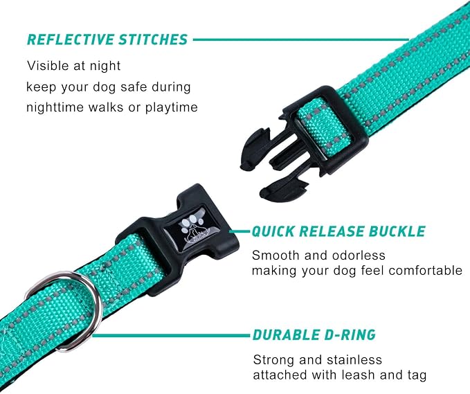 FURRYFECTION Reflective Dog Collar and Leash Set with Quick Release Buckle, Padded with Neoprene Adjustable Nylon Dog Collar for Small Medium and Large Dogs (Large Collar+5FT Leash, Teal)