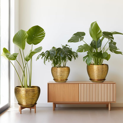 EPFamily Flower Pots for Indoor & Outdoor Plants - Ceramic Pots 10 Inch, 8 Inch, 6 Inch with Drainage Holes, Saucers - Decorative Large Planters Set of 3 Gold