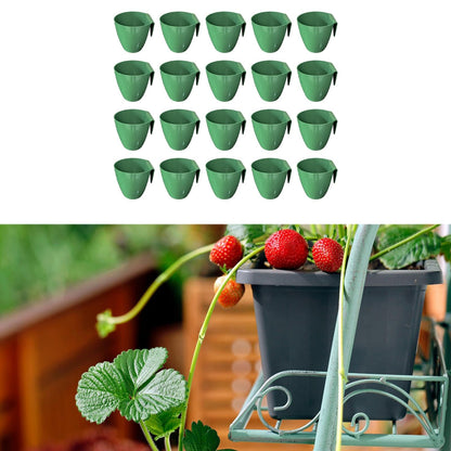WeiLaiKeQi 20 Pieces Plant Propagation Cup Strawberry Roots Growing Propagate Plant Holder Nursery Pot Bare Root Strawberry Plants Cultivation Tools Lightweight, Size L