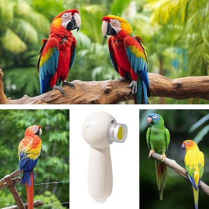 Rechargeable Parrot Nail Trimmer - Quiet Beak Grinder with 6 Heads | Grooming and Trimming Tool for Budgerigars and Birds, Low-Noise Electric Bird Nail File, Gentle Care Tool for Claws and Beaks