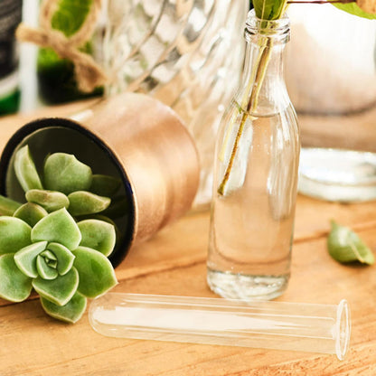 SEWOART 5pcs Hydroponic Test Tube Vase for Terrarium Flower Arrangements Glass Tube Vases for Indoor Plants