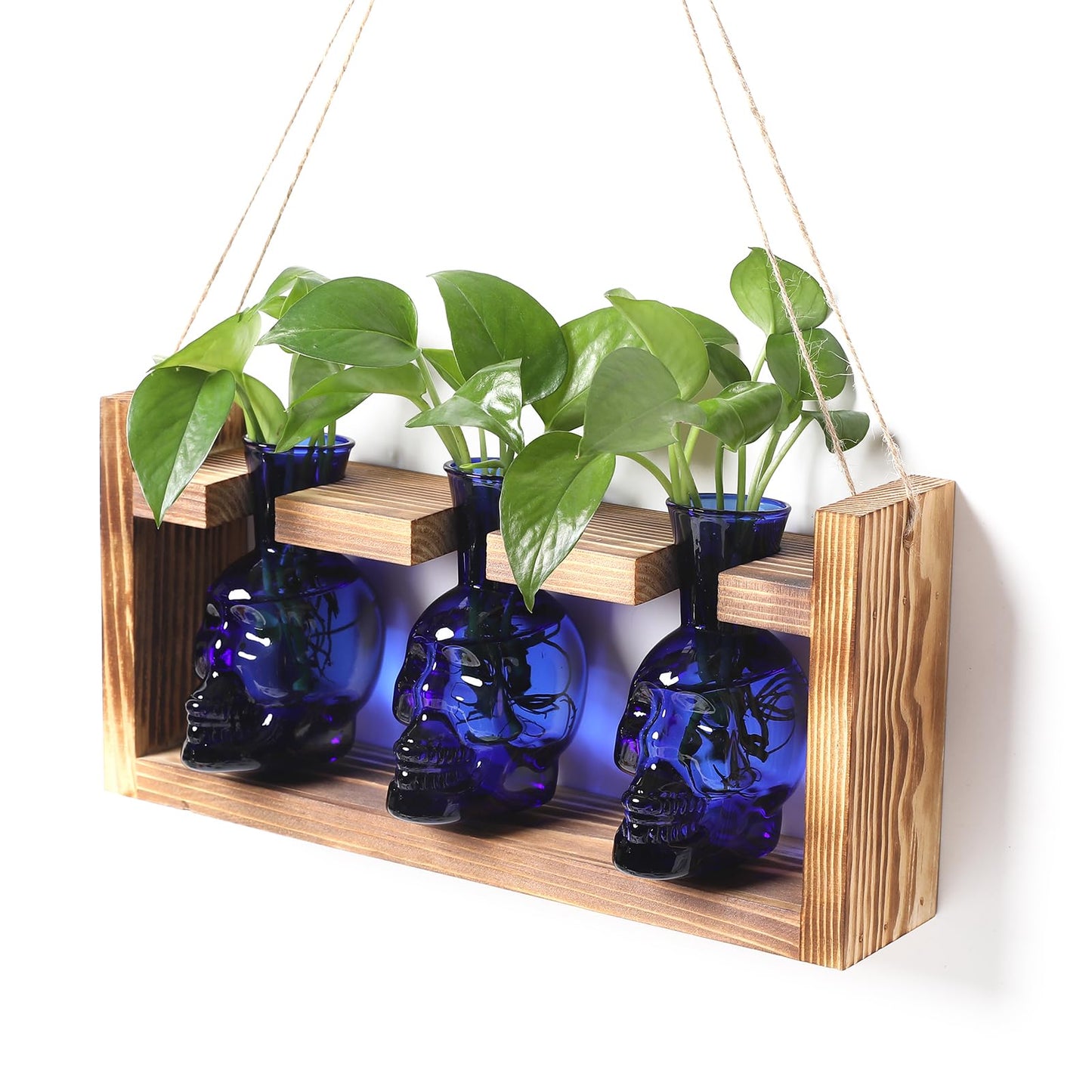 Plant Terrarium Propagation Stations Hydroponics Halloween Skull Planter Vase Skulls Decor with Wooden Stand Gift for Father