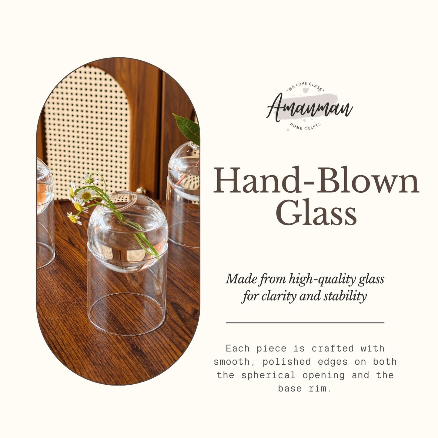 3-Pack Glass Plant Propagation Station, Planter Hydroponics Vase, Clear Glass Vase Set | Bud Vase & Mini Terrarium with Removable Base