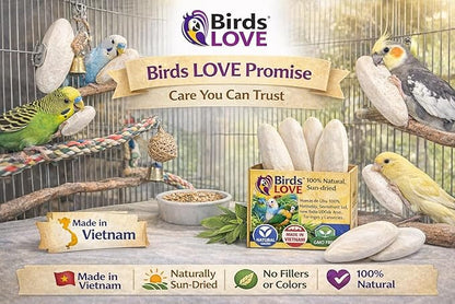 Birds LOVE 7.5-8" Cuttlebone for Birds – 100% Natural Sun-Dried Calcium Carbonate Mineral Supplement – for Parakeets, Budgies, Cockatiels, Finches & Canaries – 1 Pack with Holder – Made in Vietnam