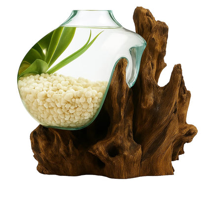 OMA Hand Blown Molten Glass on Driftwood Terrarium Vase or Planter – Recycled Glass & Natural Wood for Coastal & Boho Home Décor (12"–14" High)