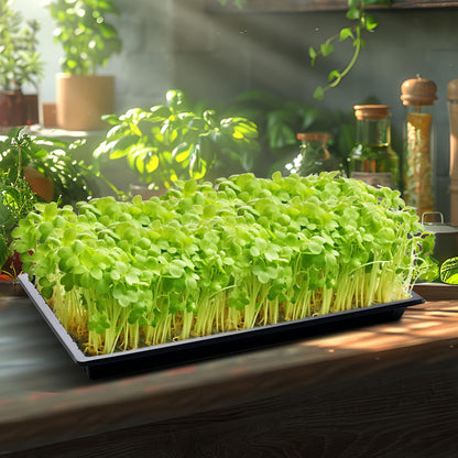 RooTrimmer Growing Trays, 1020 Plant Nursery Trays Heavy Duty Seed Starter Flat Seedling Tray for 72/128 Cell Plug Tray Transplant Growing Microgreens (21"×11", 10 Pack, 1.6" Deep, Without Holes)