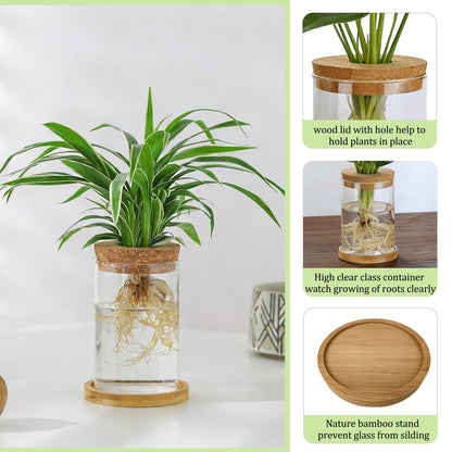 SPRFAIRY 4 Set Glass Plant Propagation Station for Plants - 2 Large & 2 Small for Plant Cuttings Hydroponic Vases with Lid & Bamboo Stand Desktop Propagation Vases for Living Room, Bedroom, Office