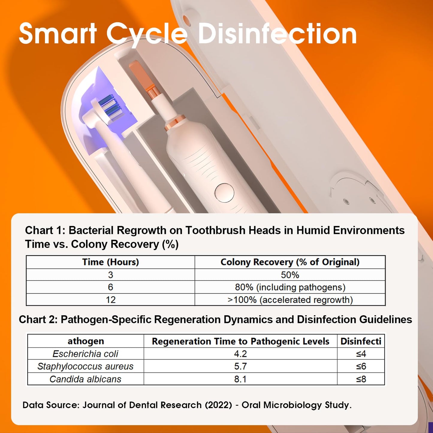 iHave Toothbrush Sanitizer for Electric Toothbrushes, Portable UV Toothbrush Travel Case with Auto-Cycle Disinfection & 100-Day Standby for Travel, Vacation & Camping (Case Only - No Toothbrush)