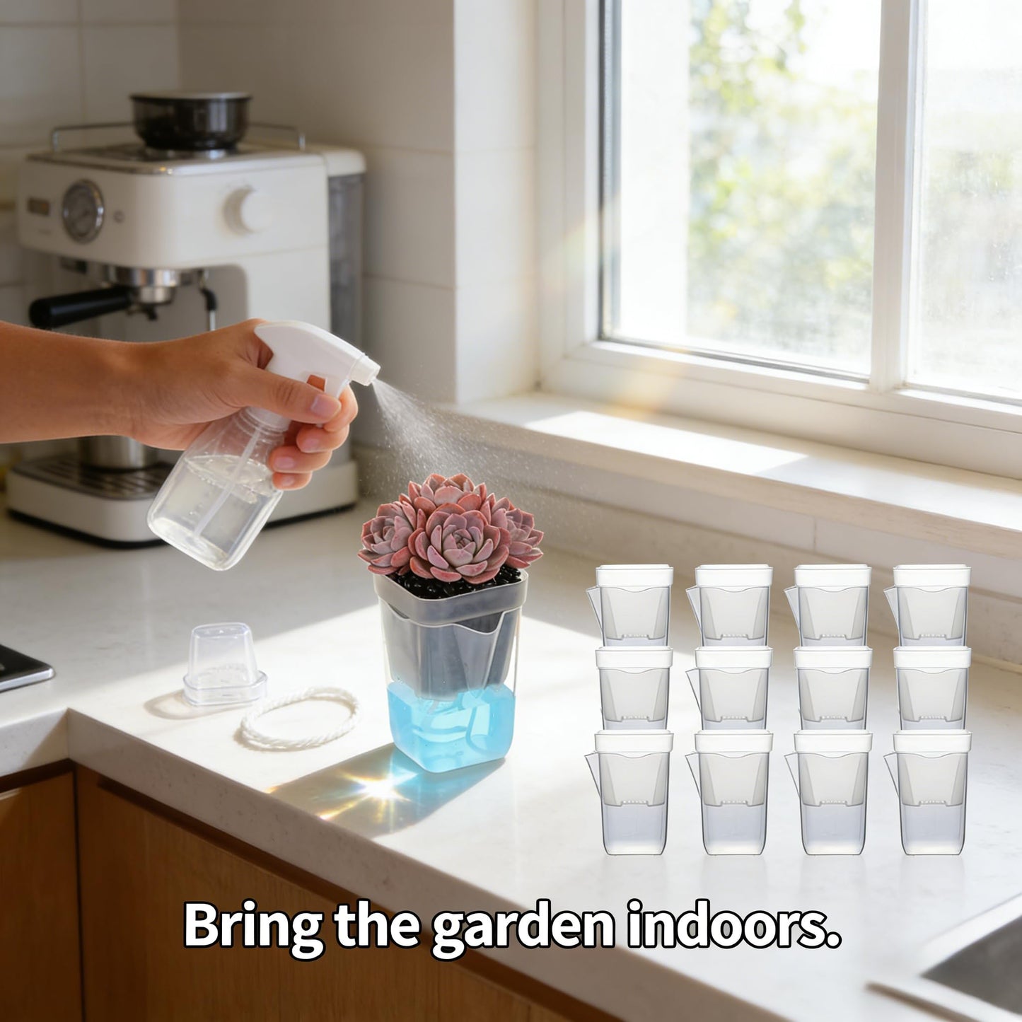 NUSQO Self Watering Pots for Indoor Plants, 12 Pack 2 Inch Mini Clear Plastic Planters with Water Level Indicator, Drainage Holes and Plant Labels for African Violet and Alocasia Corm Propagation